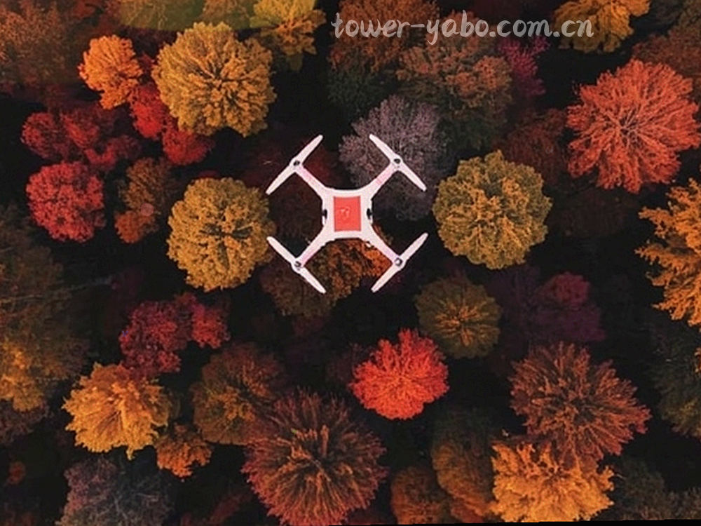 夜间场馆看台的局部裁切画面，灯光层层排开，人群剪影形成明暗层次